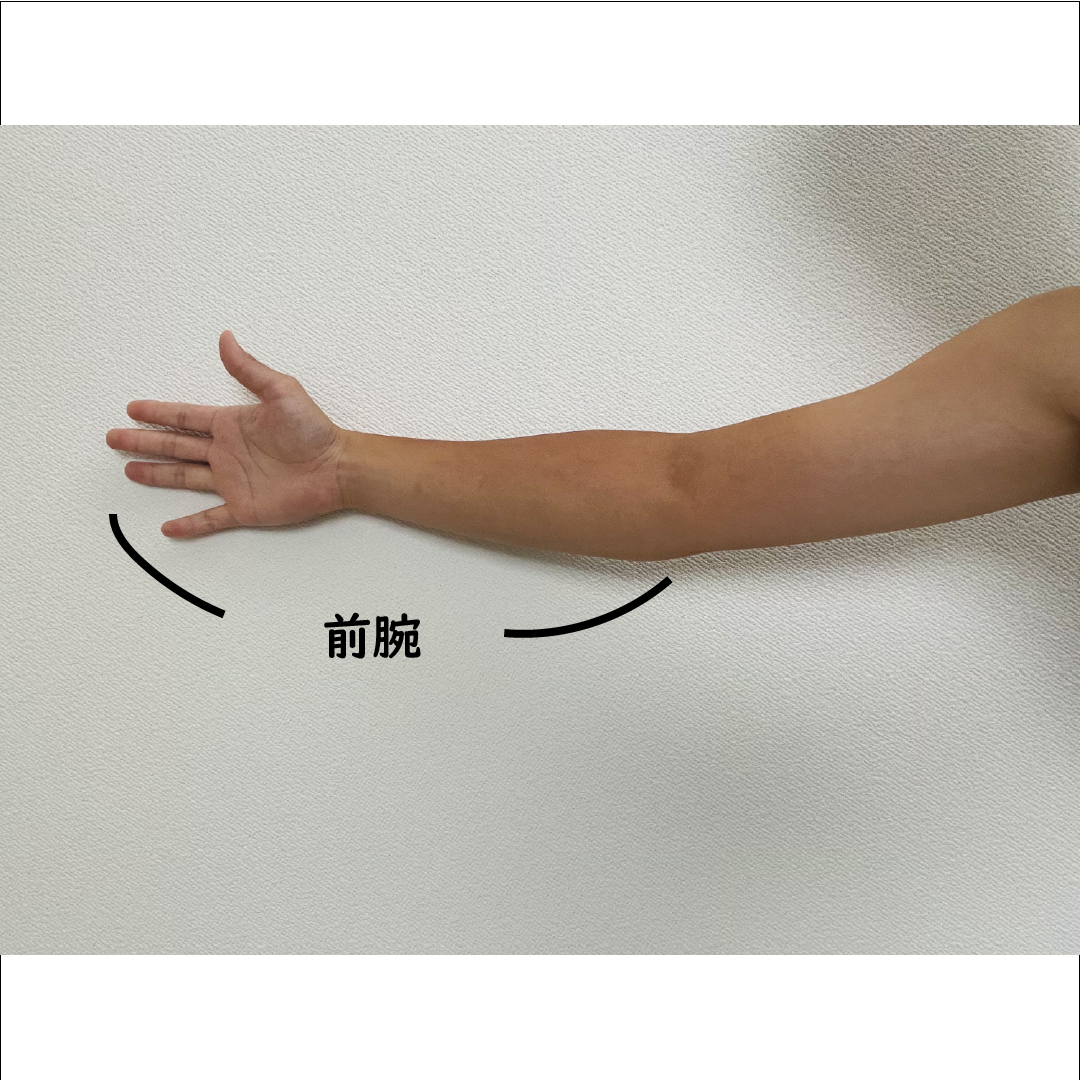 球速up 腕を速く振るために欠かせない知識 Kiredas キレダス